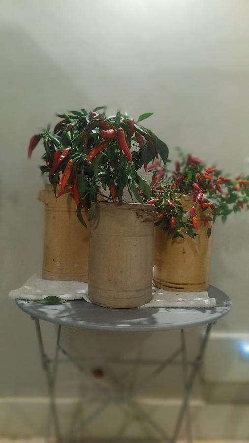 Attico Sul Porto Di E Vista Vulcano Apartamento *