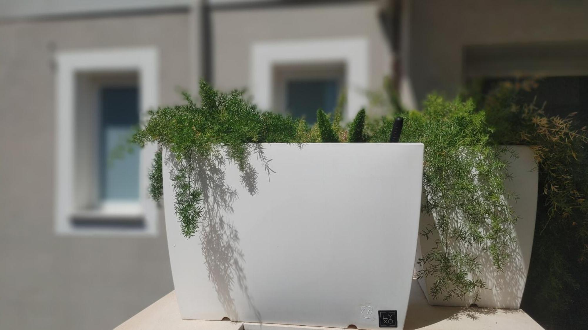 Apartment Attico Sul Porto Di E Vista Vulcano
